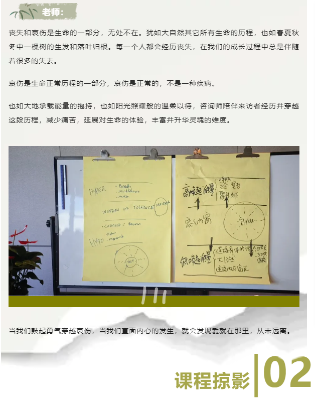 微信图片_20241206113910.png