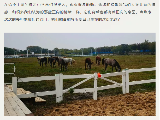 微信图片_20241206112328.png