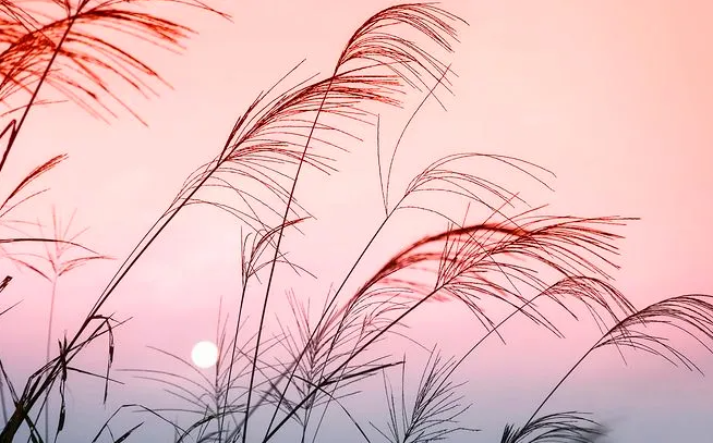 微信图片_20211005221914.png