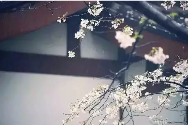 微信图片_20211118135342.png