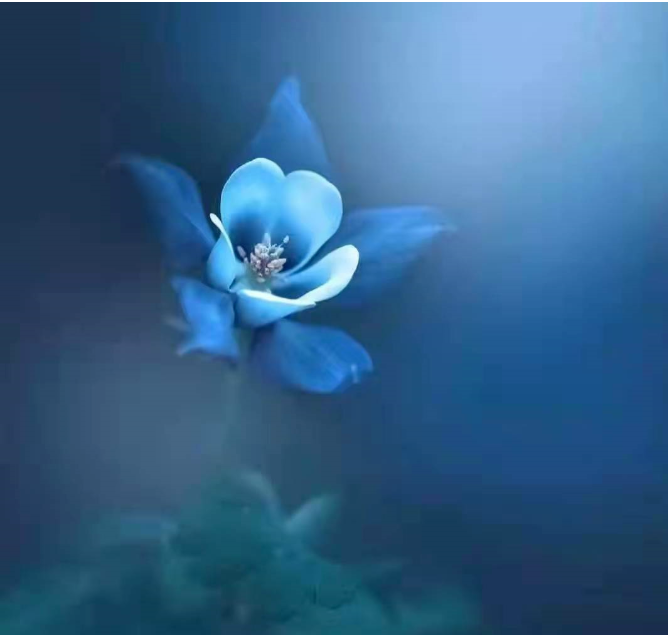 微信图片_20220324110730.png