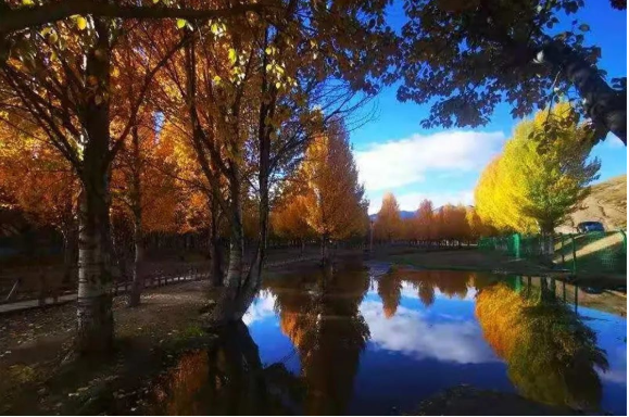 微信图片_20220519134444.png