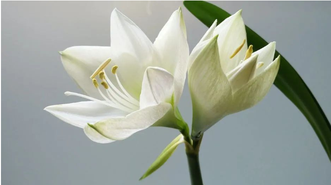微信图片_20220808230509.png 微信图片_20220808230509.png