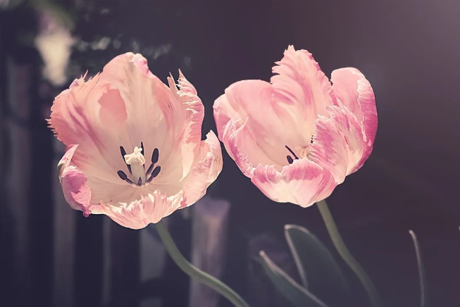 微信图片_20240320152821.png 微信图片_20240320152821.png