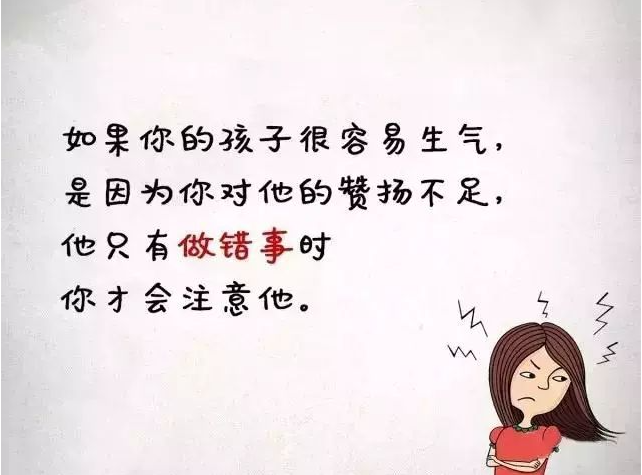 微信图片_20240511145223.png