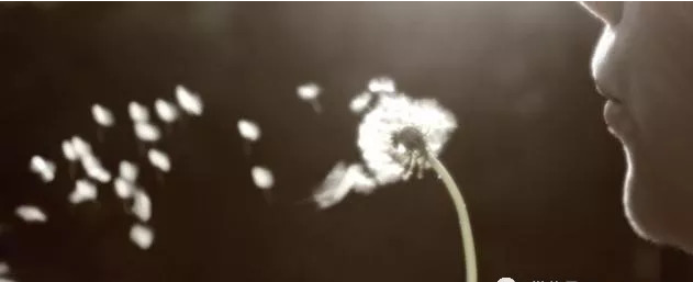微信图片_20240531122820.png