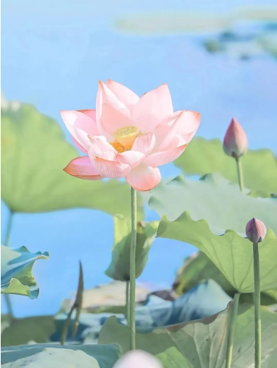 微信图片_20240729133906.png